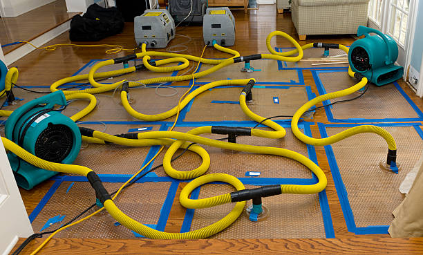 Professional Crawl Space Water Removal technician working in Becker, MN